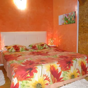 Orange Flower Appartement